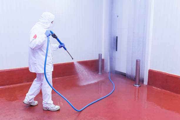Best Patio and Deck Pressure Washing  in Ridgeland, SC