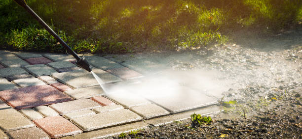 Best Animal Enclosure Cleaning  in Ridgeland, SC