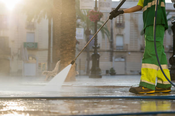 Best Roof Washing  in Ridgeland, SC